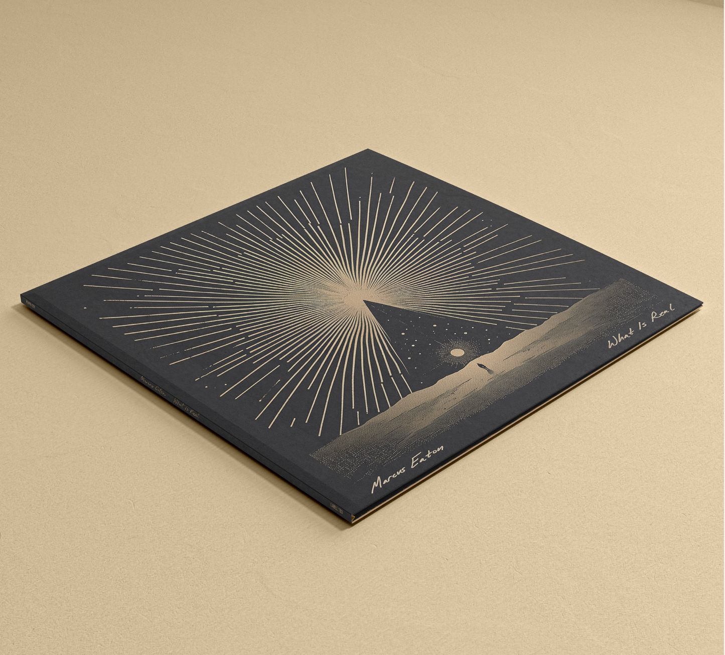 'What Is Real' - Vinyl Album - (Pre Order)